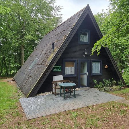 Ferienhaus Marie 125 Bad Arolsen Dış mekan fotoğraf