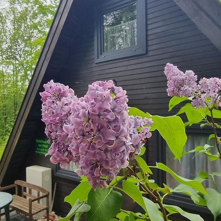 Ferienhaus Marie 125 Bad Arolsen Dış mekan fotoğraf