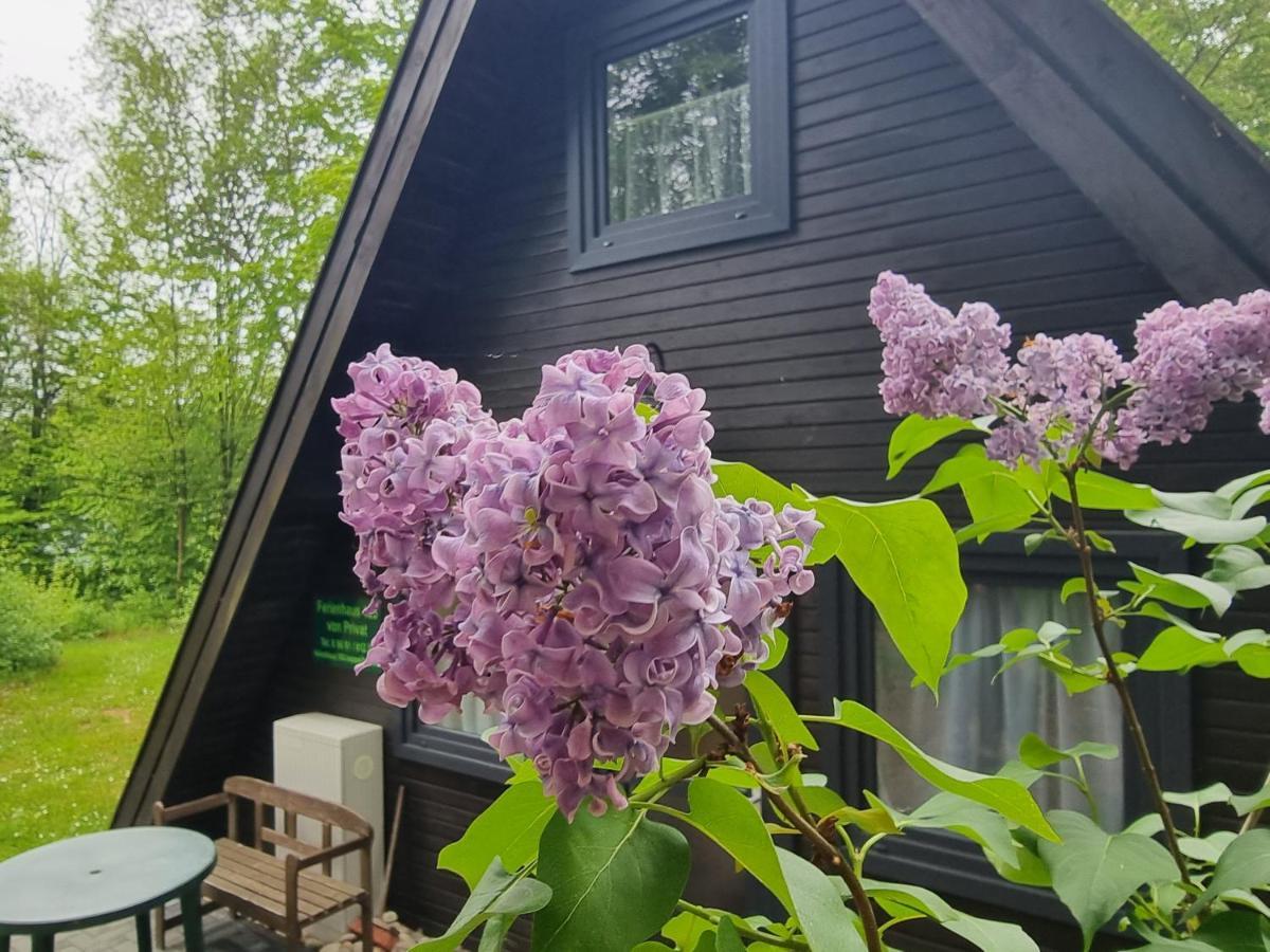Ferienhaus Marie 125 Bad Arolsen Dış mekan fotoğraf
